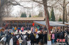 （新春走基层）山西洪洞大槐树：家庭亲子游成主流 根祖文化激活年俗新体验